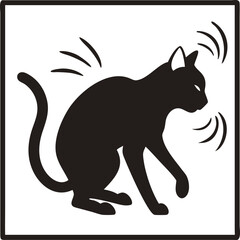 black cat on white background