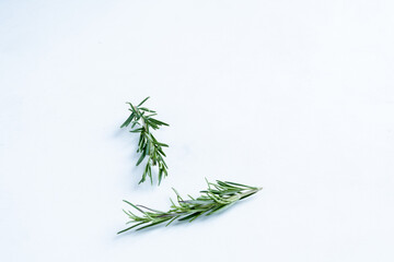 Fresh green rosemary sprigs placed on a white background. Aromatic culinary herb commonly used in cooking, food styling, and natural remedies, captured in clean, minimal studio lighting