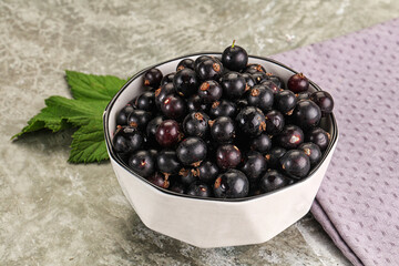 Ripe black currant in the bowl