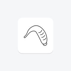 Leech, vector, pixel perfect, illustrator file