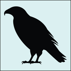 Fototapeta premium Caracara Silhouette, Wildlife