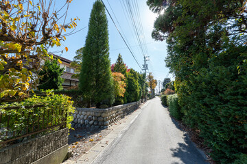 Historic old road “Salt Road” which is also a long distance hiking course and its surroundings