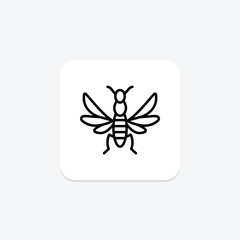 Orchid, vector, pixel perfect, illustrator file