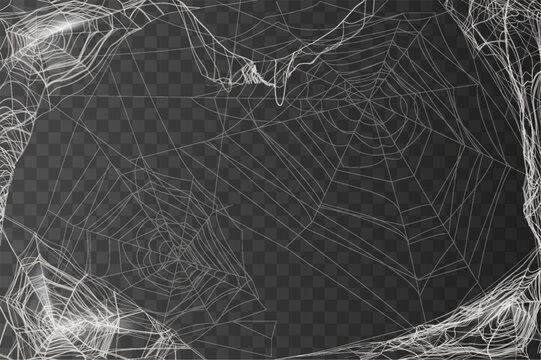 Cobweb on transparent background, hanging spider web frame overlay effect, Halloween, gothic spooky vector illustration