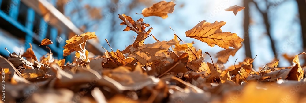 Poster close-up shot of vibrant orange autumn leaves floating in the air with a blurred blue sky background