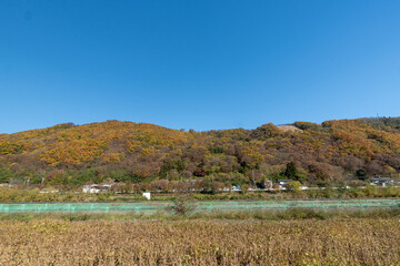 Historic old road “Salt Road” which is also a long distance hiking course and its surroundings