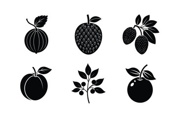 Fruits Silhouette Vector Illustrations Set