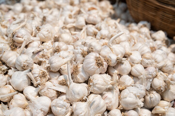 Garlic bulbs heap, spice market stall in India, spicy food ingredient for sale