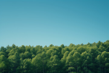青空と木：コピースペースのある背景