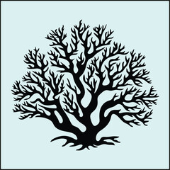 Coral Silhouette, Ocean