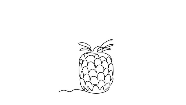 Abstract pineapple fruit and slice, ananas, Self drawing animation one continuous line draw, logo