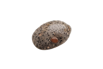 Unique volcanic rock with intricate patterns discovered on a beach during low tide at sunset isolated on transparent background