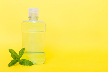 Mouthwash and fresh mint on colored background, top view with copy space for text