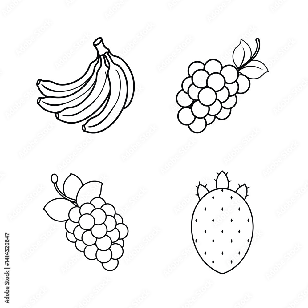 Poster vector illustration of fresh fruits with outlines bananas grapes and prickly pear in a simple and mi
