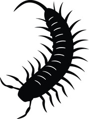 vector illustration of a caterpillar