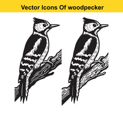 Woodpecker Vector Line Art – Flying and Perching Bird in Natural Poses, Black and White Outline Illustration