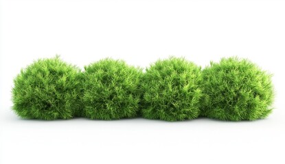 Fototapeta premium Lush Green Bushes Against a Clean White Background for Design Use