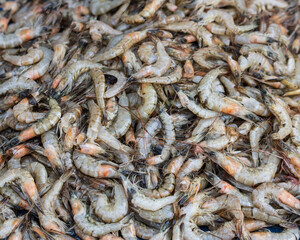 A pile of shrimp is shown in various sizes and colors