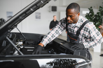 Auto mechanic performing a routine service inspection in a service garage