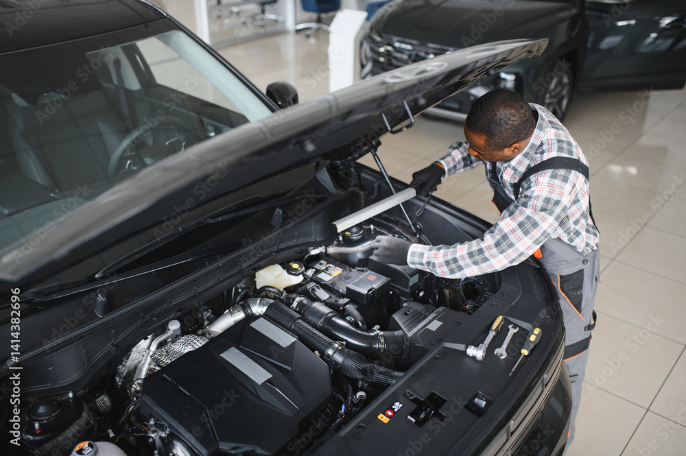 Poster auto mechanic performing a routine service inspection in a service garage