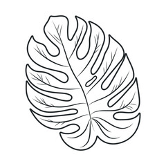 Monstera Leaf Isolated Vector Illustration. Outline modern style. Elegant and simple black botanical sketch for summer projects and designs