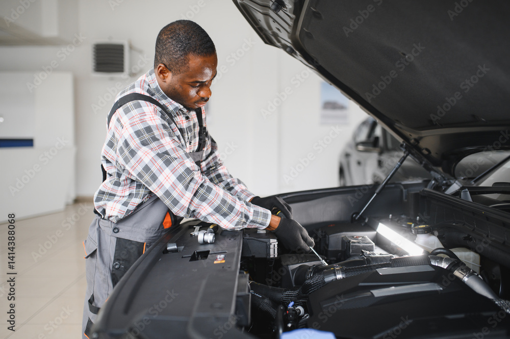 Poster auto mechanic performing a routine service inspection in a service garage