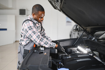 Auto mechanic performing a routine service inspection in a service garage