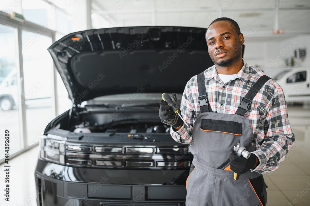 Poster auto mechanic performing a routine service inspection in a service garage