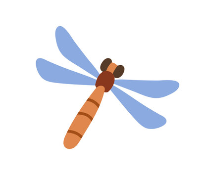 cartoon dragonfly with blue wings clip art preview