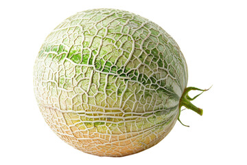 Obraz premium An artistic display of a textured melon showcasing nature's intricate details on a white backdrop isolated on transparent background