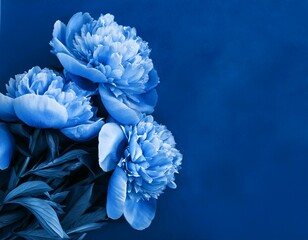 Obraz premium Blooming vintage blue carnation flower romantic macro wallpaper