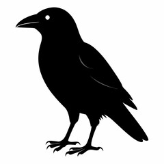 Obraz premium Black Crow Silhouette Clipart