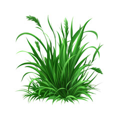 Fototapeta premium Lush Green Grass Tuft, Vibrant Spring Meadow Grass Illustration