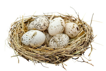 Obraz premium A cozy nest of speckled eggs resting gently on a bed of straw in serene isolation