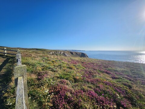 Bord de falaise