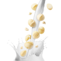 Nut milk flow and macadamias isolated on white