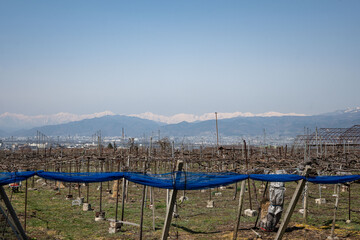 Fototapeta premium Japanese landscape of the Japanese Alphes a stunning mountain range with snow outdoor at daytime in spring on the countryside between the vines of Nagano in Japan.