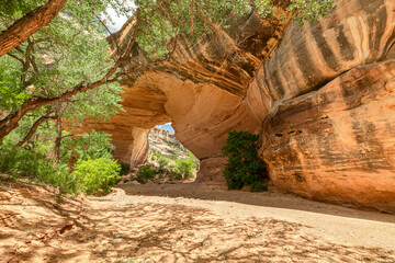 Kachina Natural Bridge in Natural Bridges National Monument, Utah, USA