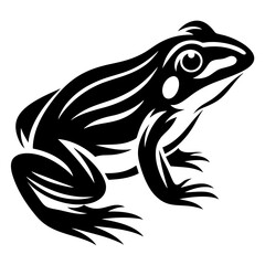 Stylized monochrome image of a frog with intricate line work design