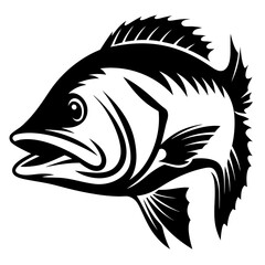 Black and white illustration of an aggressive looking fish head profile