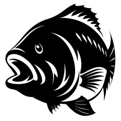 Detailed black and white illustration of a large mouth bass ready to strike