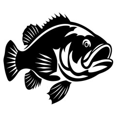 Black and white image of a bass fish with intricate details