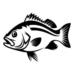 Stylish monochrome graphic vector illustration of a fish swimming gracefully in water