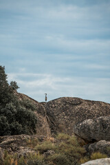 Fototapeta premium Los Barruecos pretty water nature area in Spain Natural monument 