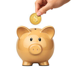 Gold piggy bank. hand holding coins. concept of saving