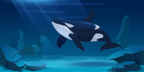 Orca swimming through an underwater scene with rocks and light rays. Marine wildlife in a natural ocean habitat.  Vector Illustration

