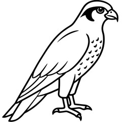 Elegant Falcon Line Drawing Design