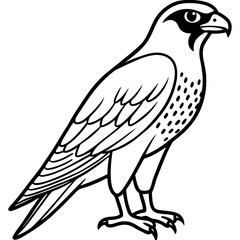 Elegant Falcon Line Drawing Design