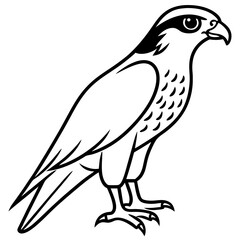 Elegant Falcon Line Drawing Design
