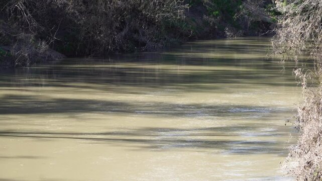 Experience the serene beauty of the San Marcos River in Texas as it gently flows through a peaceful woodland. This video captures the tranquil movement of the lazy river